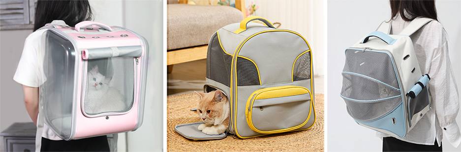 Выбор рюкзака для кошки для весенних прогулок